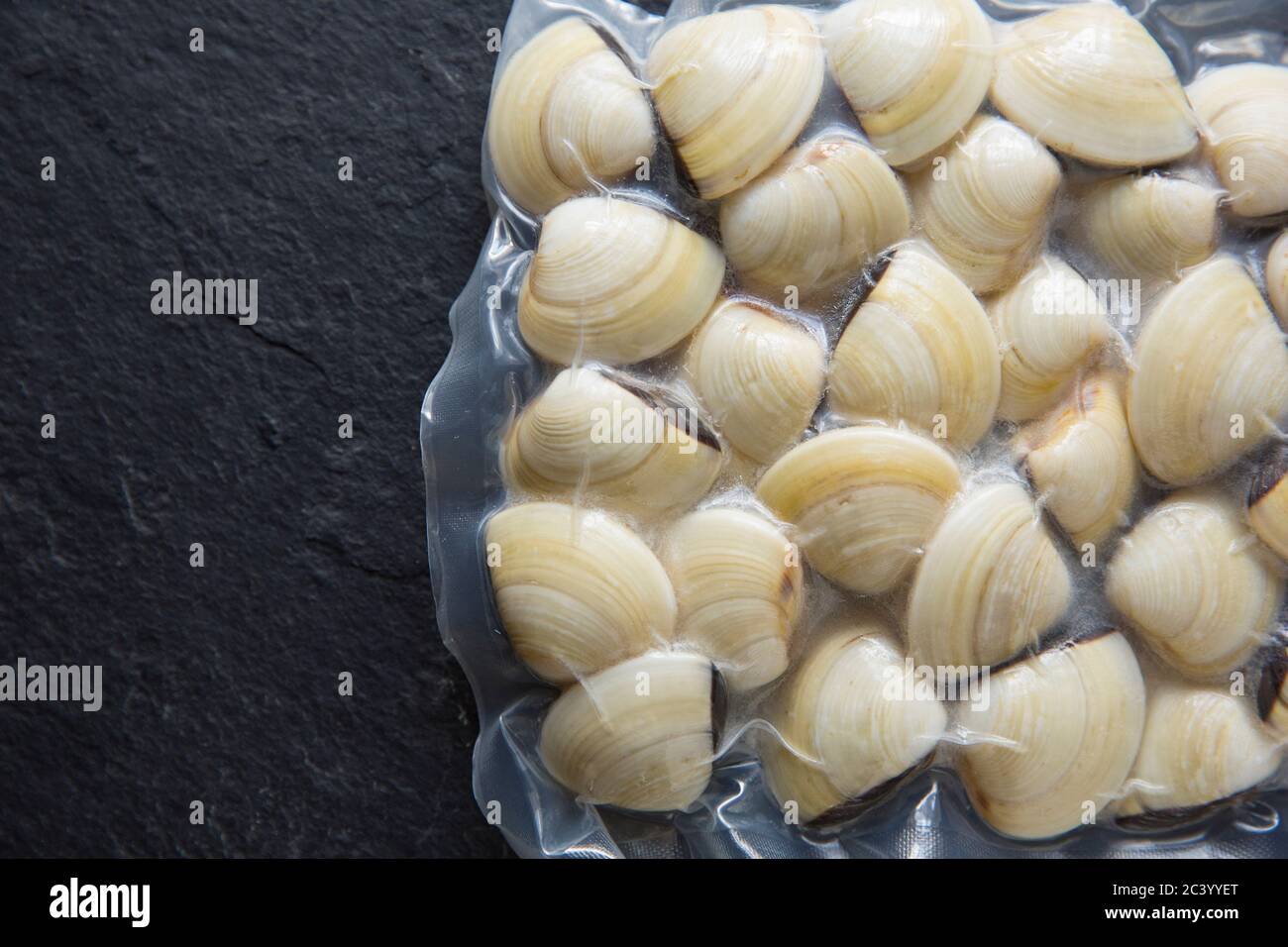 Pre-cooked, vacuum packed, frozen white clams, Meretrix lyrata, imported from Vietnam and bought from a Waitrose store. Dorset England UK GB Stock Photo
