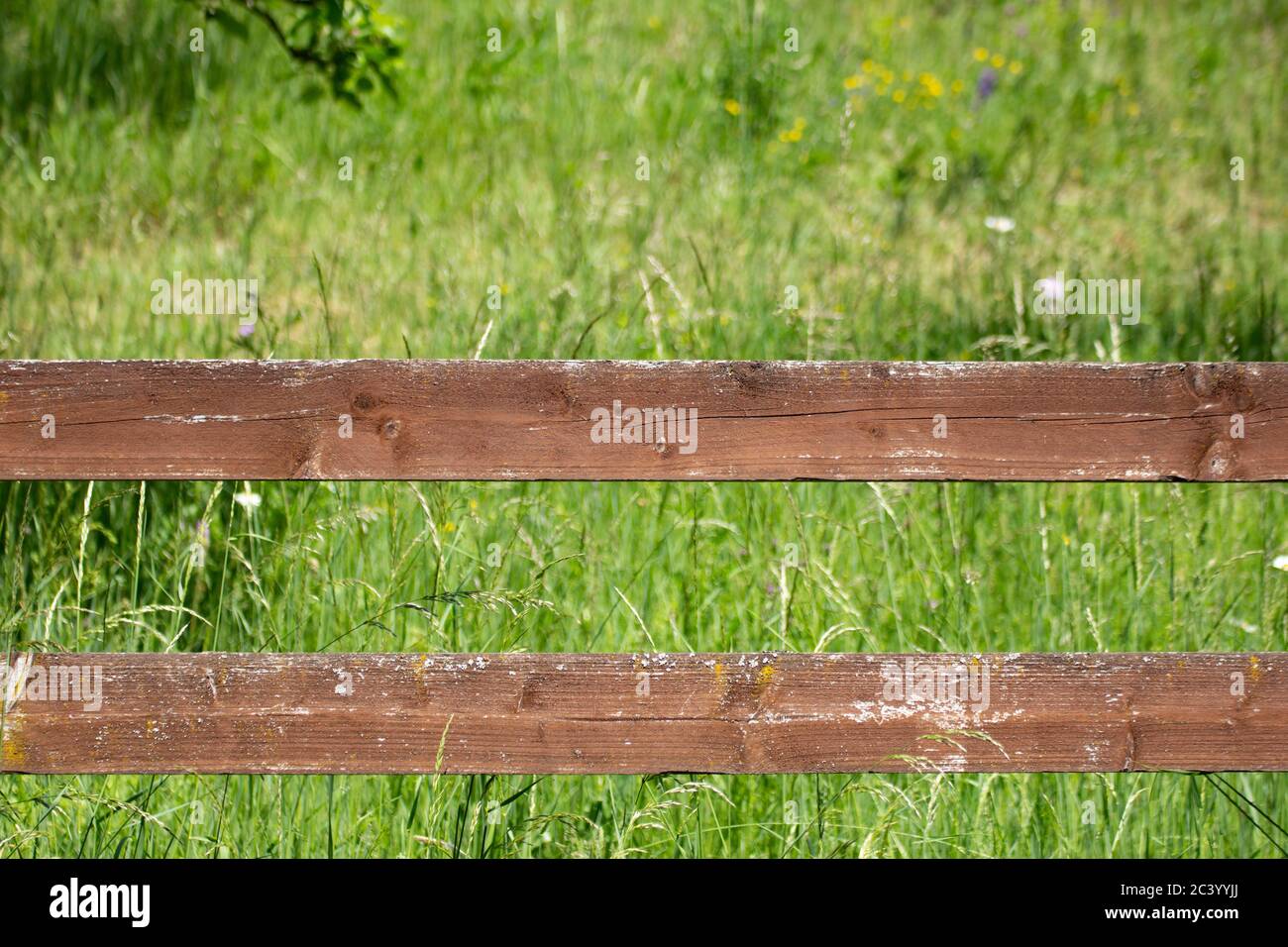 Close board fence hi-res stock photography and images - Alamy