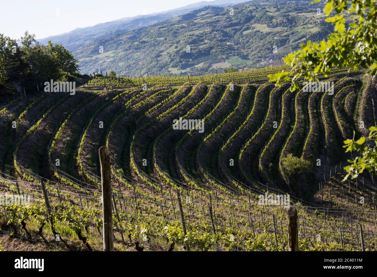 Scenic view of Bormida Valley from Sessame, Piedmont, Italy Stock Photo