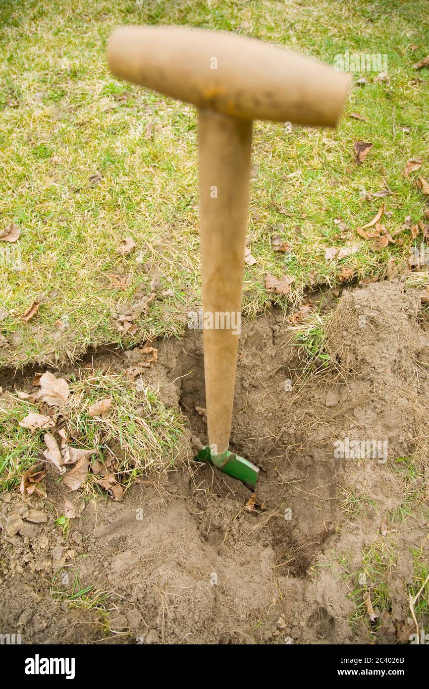 Sting spade hi-res stock photography and images - Alamy