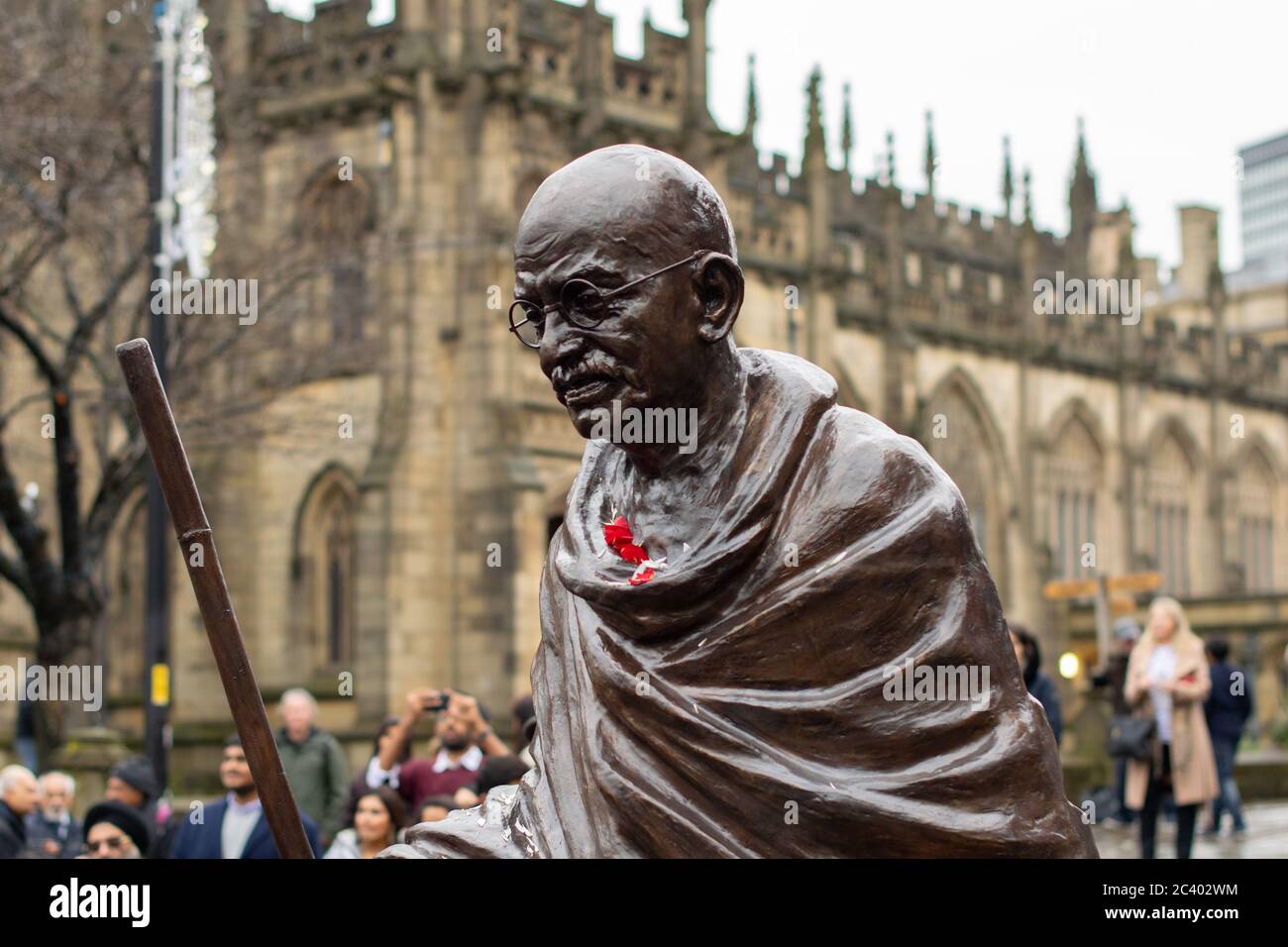 Unveiling of Mahatma Gandhi Statue  outside Manchester Cathedral. Petals thrown during the ceremony catch on the folds of the gown Stock Photo