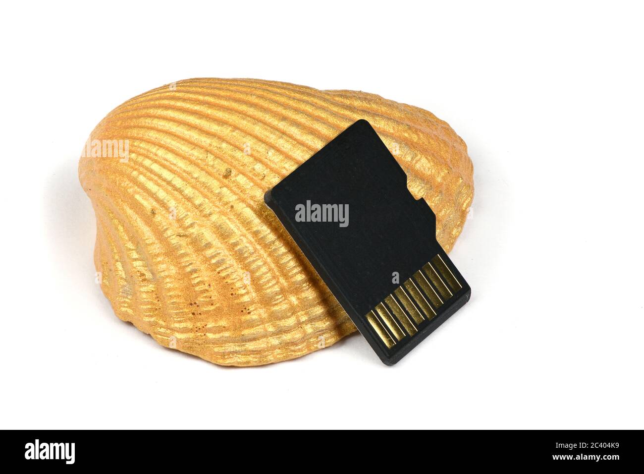 Memory Card Golde SD memory card on golden seashell isolated on white background. High ...