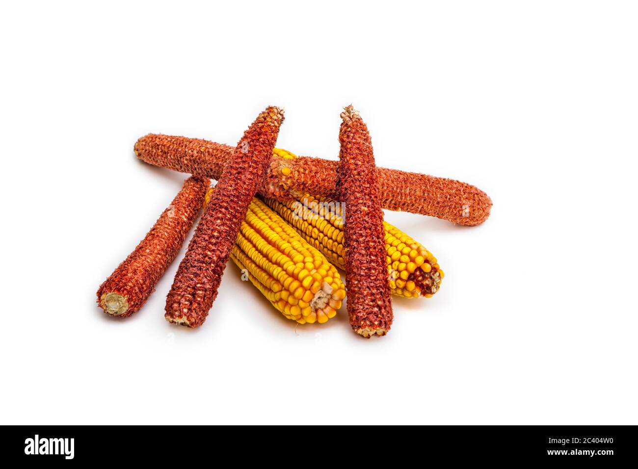 Medium gruop of corn cobs placed on a corn ear. Isolated on white Stock