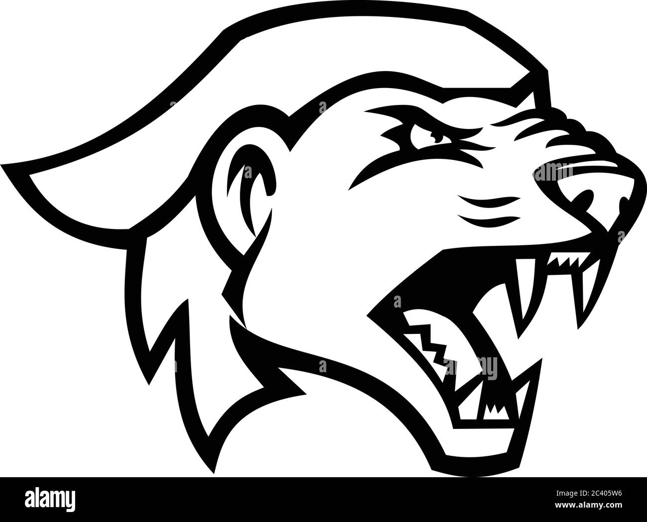 Black and White illustration of head of angry and aggressive honey badger  Mellivora capensis, also known s the ratel viewed from side on isolated bac  Stock Vector Image & Art - Alamy