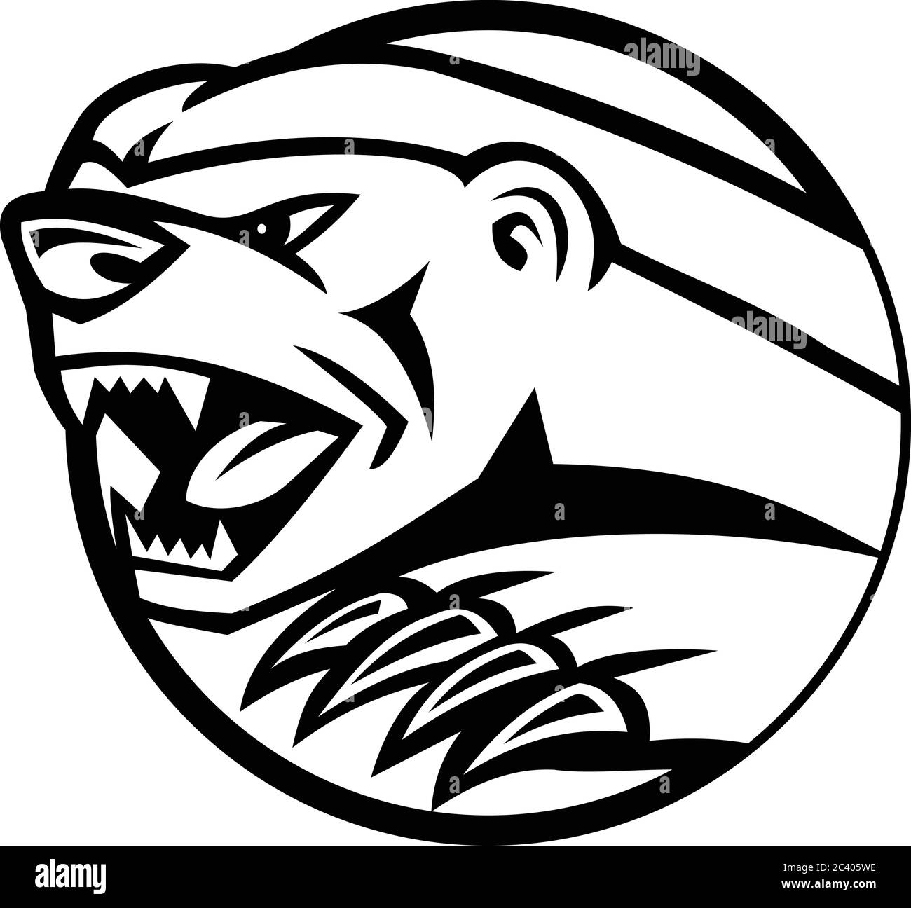 Black and white illustration of head of an angry honey badger, also known as the ratel, the only species in the mustelid subfamily Mellivorinae, swipi Stock Vector