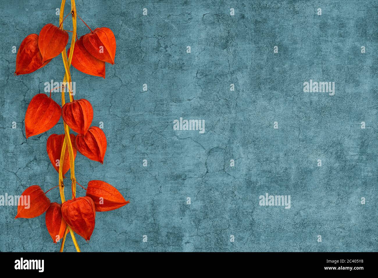 Chinese lantern placed vertically and hanging on a blue wall Stock ...