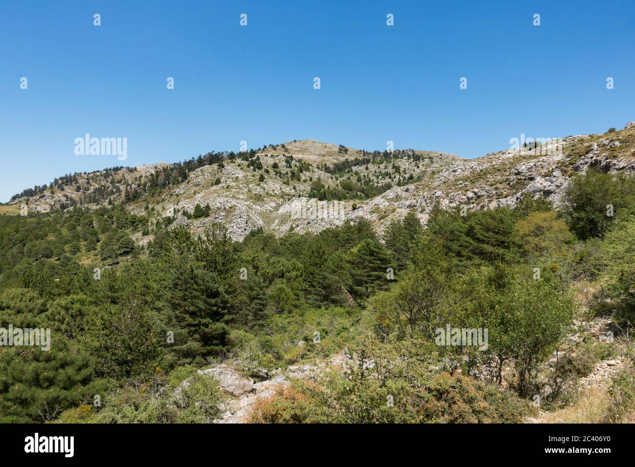 Sierra de las Nieves Natural Park, Biosphere Reserve, Ronda area, Malaga province. Andalusia, Southern Spain. Europe. Stock Photo