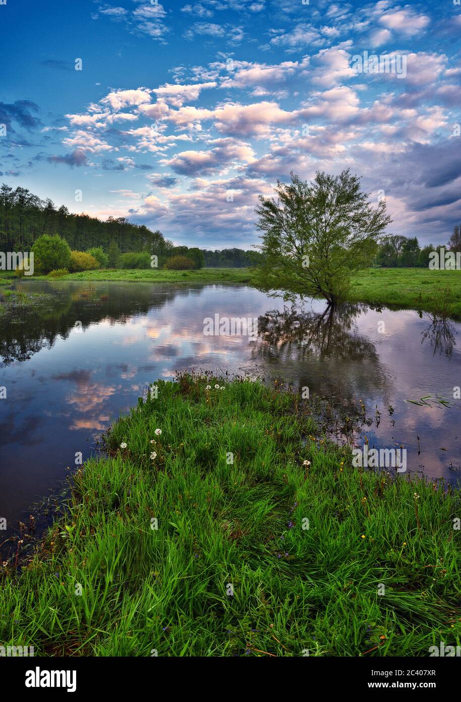 Beautiful spring sunrise over river banks Stock Photo