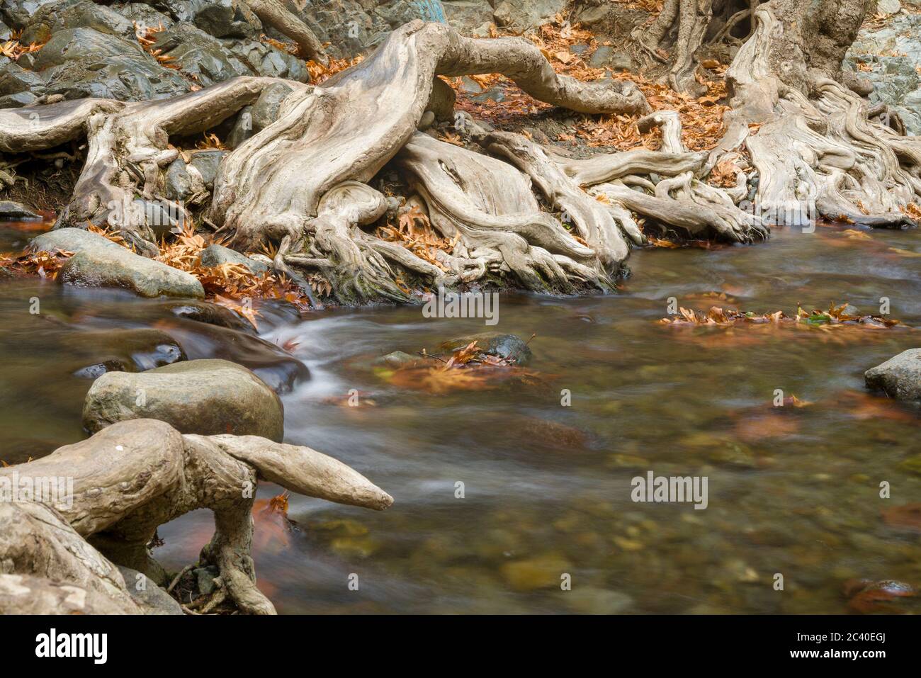 Atmospheric river close up hi-res stock photography and images - Alamy