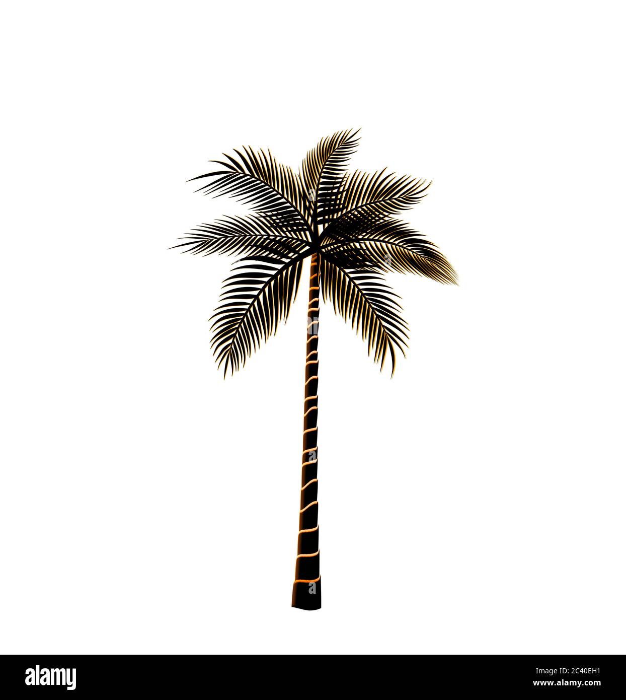 Palm tree isolated on white background illustration Stock Photo - Alamy