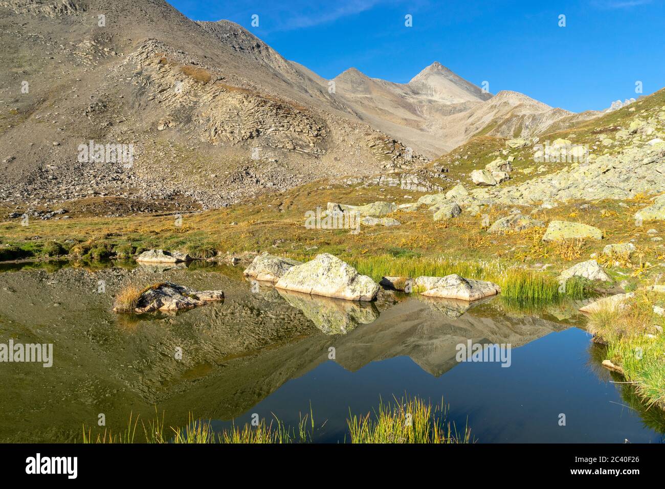 Der Piz Blaisun zuhinterst im Val d'Es-cha, Oberengadin, Graubünden, spiegelt sich in einem namenlosen See. Stock Photo
