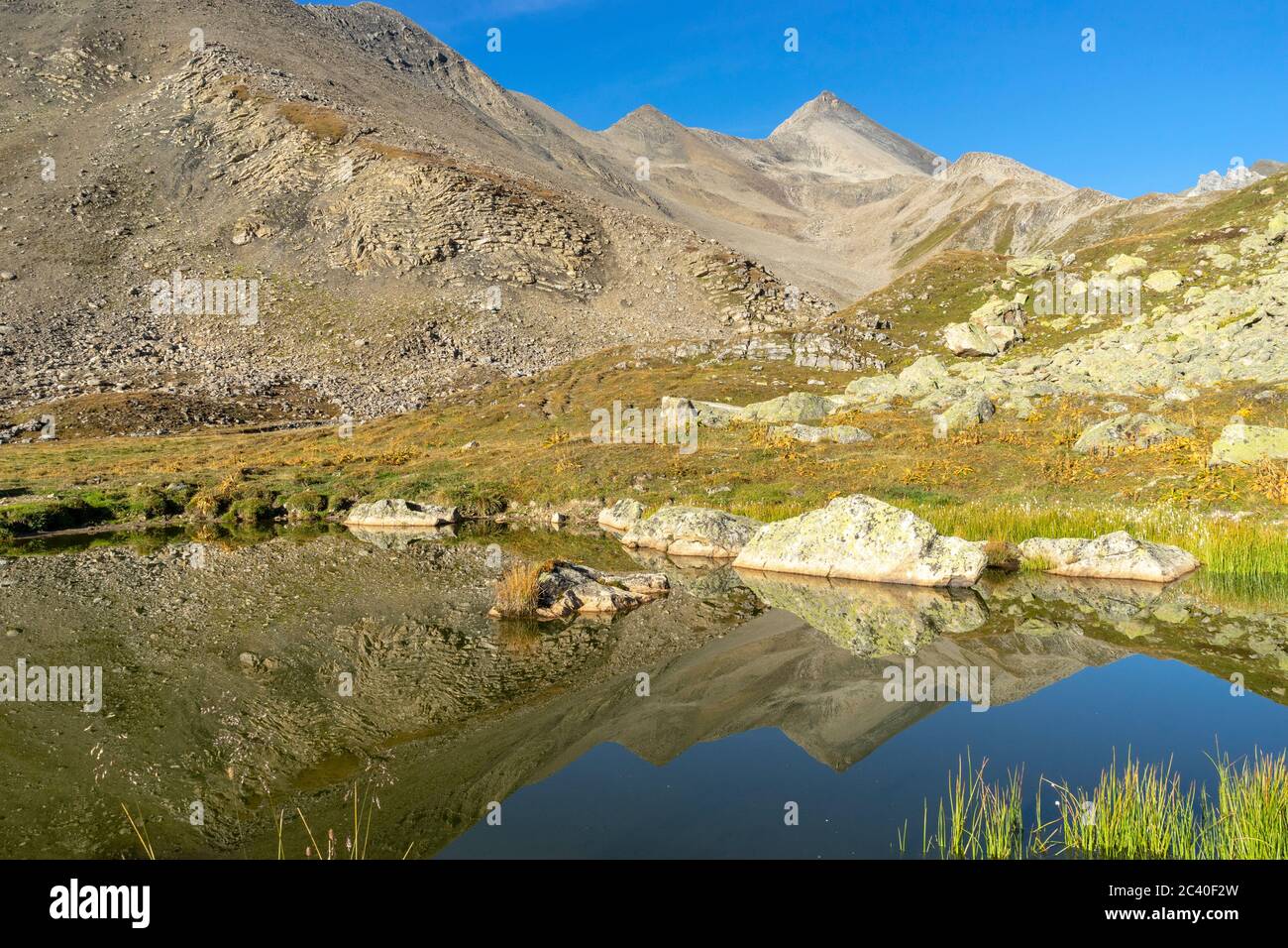 Der Piz Blaisun zuhinterst im Val d'Es-cha, Oberengadin, Graubünden, spiegelt sich in einem namenlosen See. Stock Photo