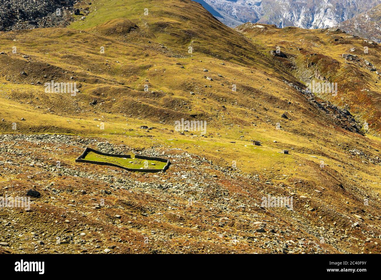 Alter Färrich auf der Alp Ampervreila, Zervreila-Region, Valser Tal, Graubünden. Stock Photo