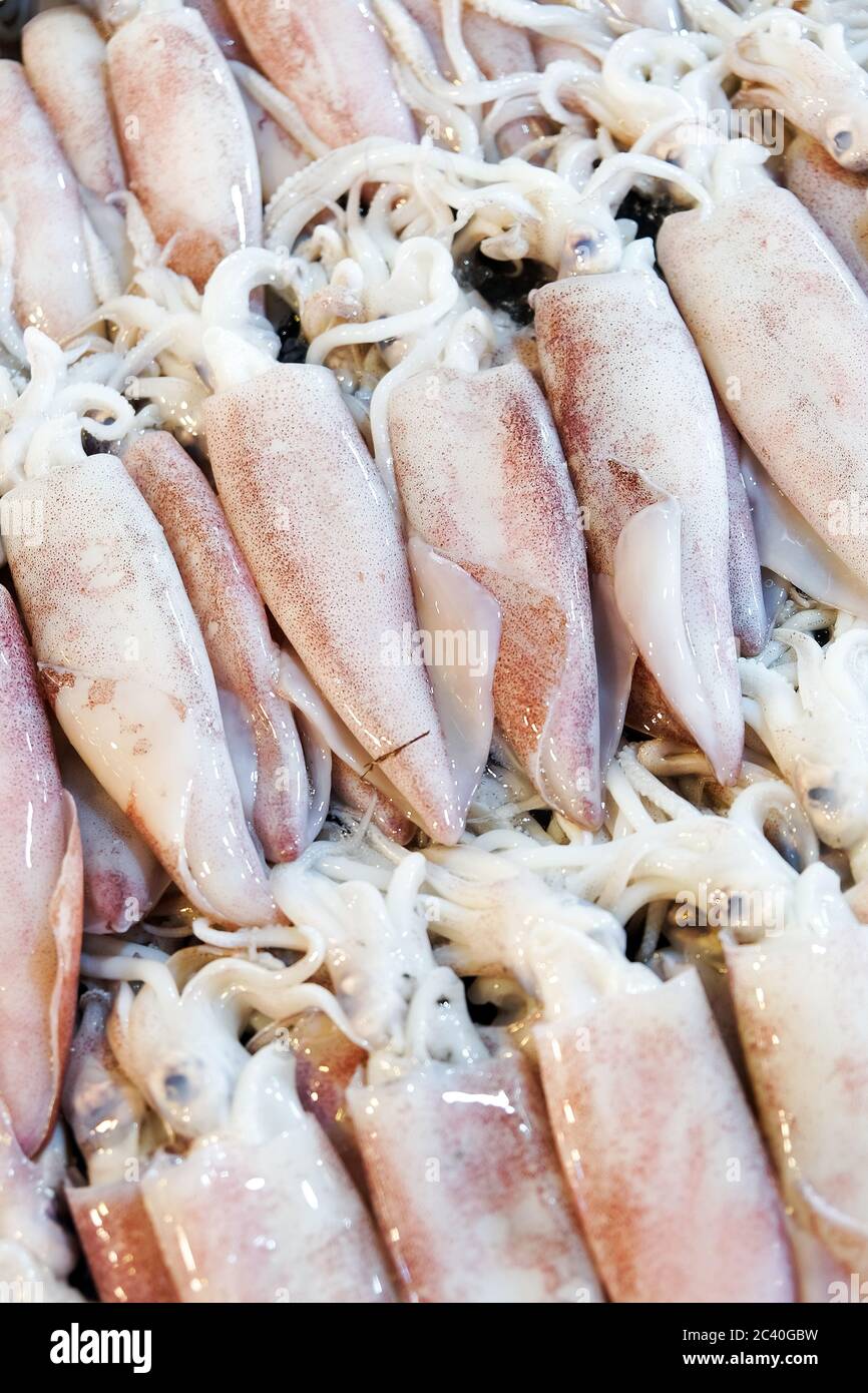 Fresh Squid in The Local Market Stock Photo - Alamy