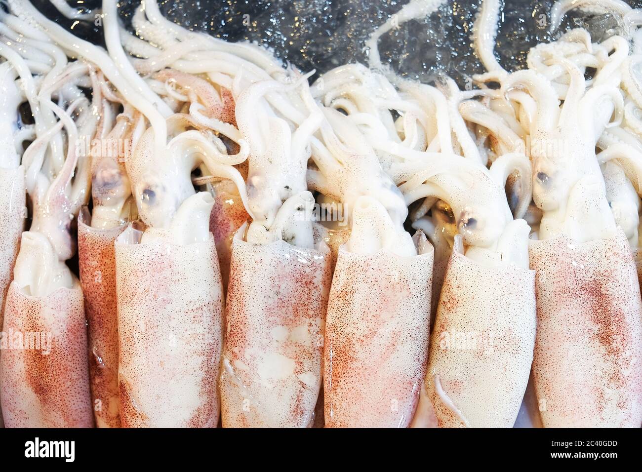 Fresh Squid in The Local Market Stock Photo - Alamy