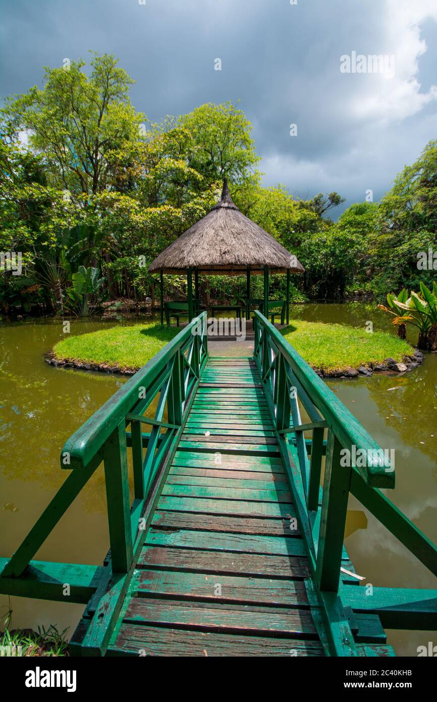 Botanical Garden Pamplemousses, Mauritius. Sir Seewoosagur Ramgoolam Botanical Garden Stock Photo
