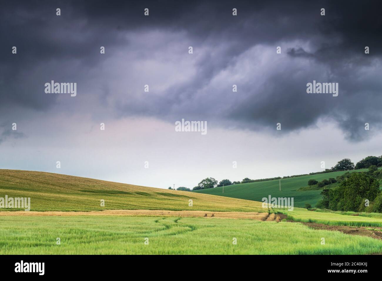 A thunder storm passes over rolling fields. Stock Photo