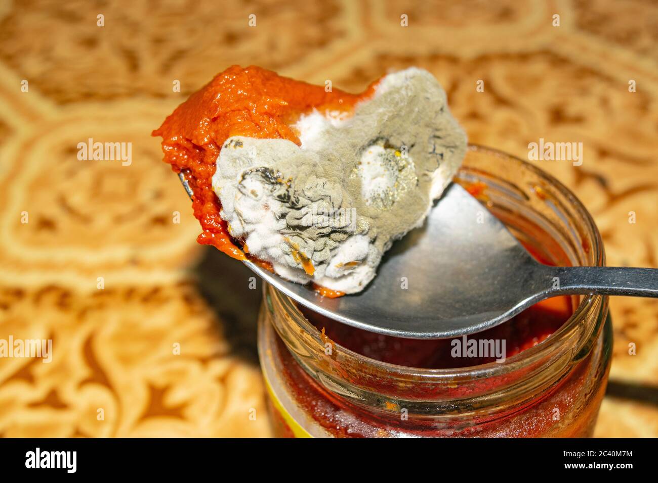 Mold growing on the tomato paste. Close up Stock Photo