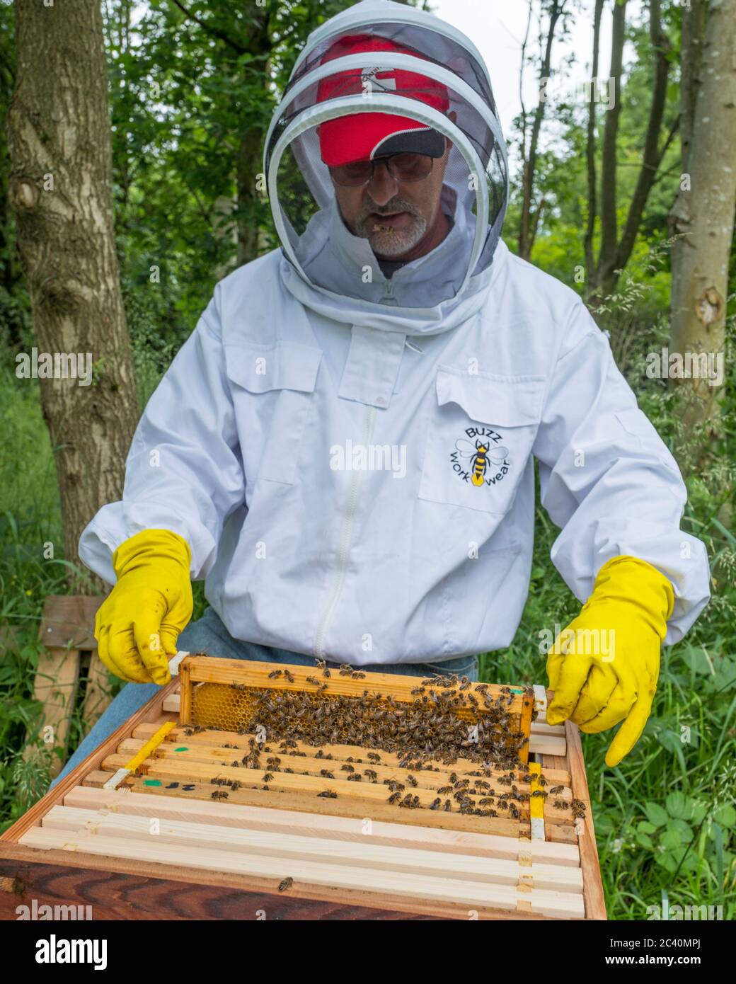 A beekeeper at work on his hives. Stock Photo