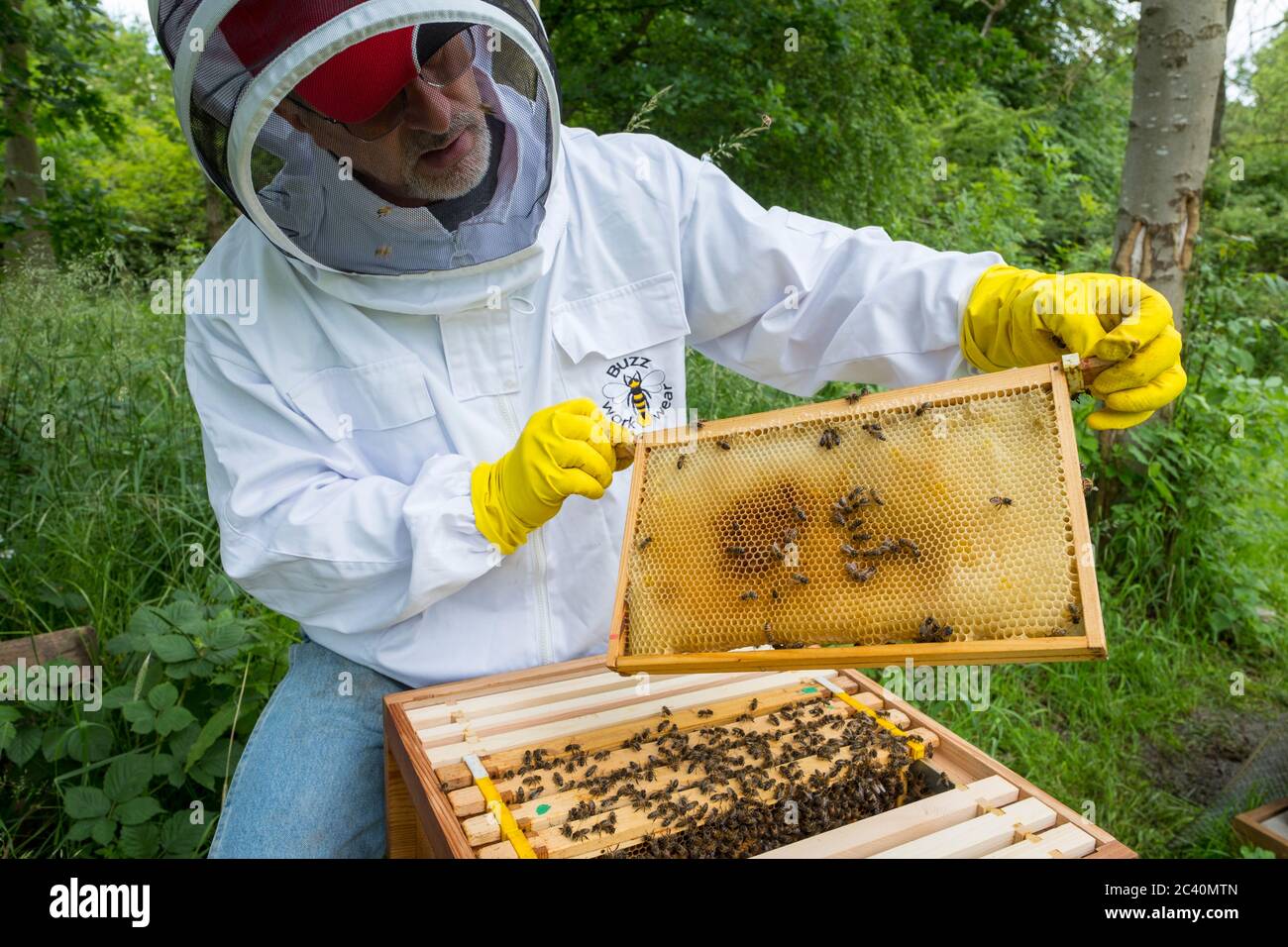 A beekeeper at work on his hives. Stock Photo