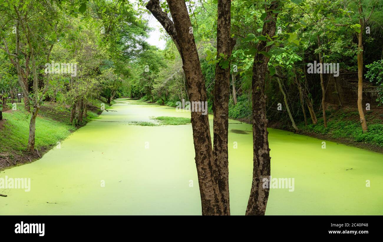 beautiful view of river around  Si Satchanalai Historical Park, Thailand Stock Photo