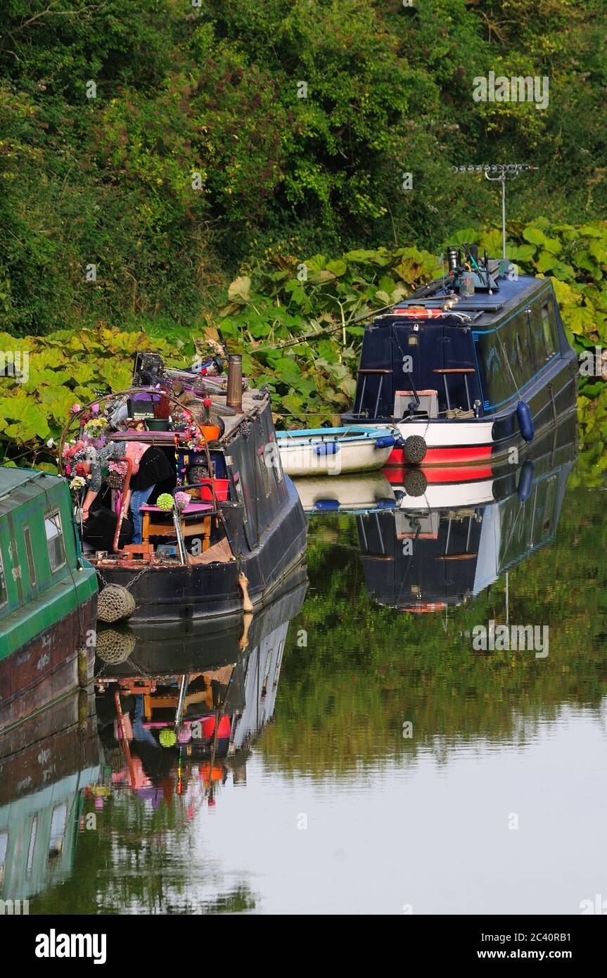 Portrait of moored canal boats on the Kennet and Avon canal at Stanton Bridge, near Stanton St.Bernard, Wiltshire, UK Stock Photo