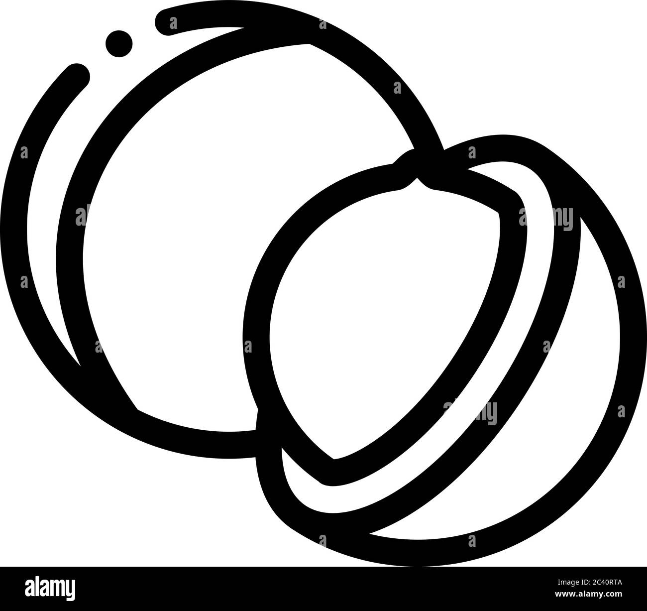 macadamia nut icon vector outline illustration Stock Vector Image & Art