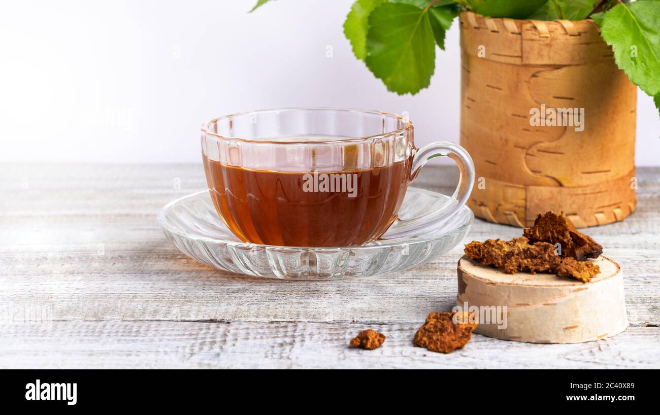 Healing infusion of birch mushroom chaga in glass figured cup, birch ...