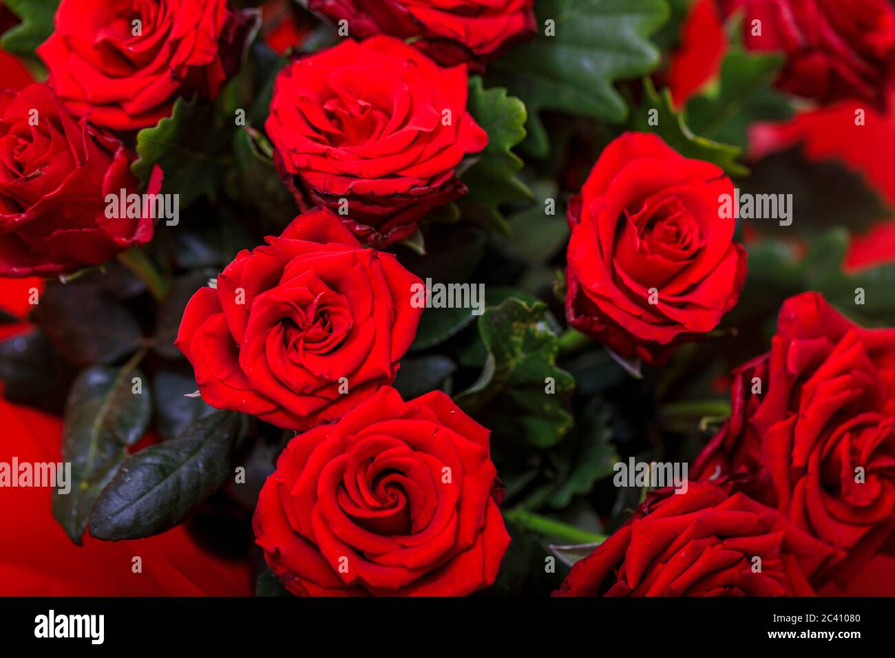 Bouquet of fresh roses, flower bright background Stock Photo - Alamy