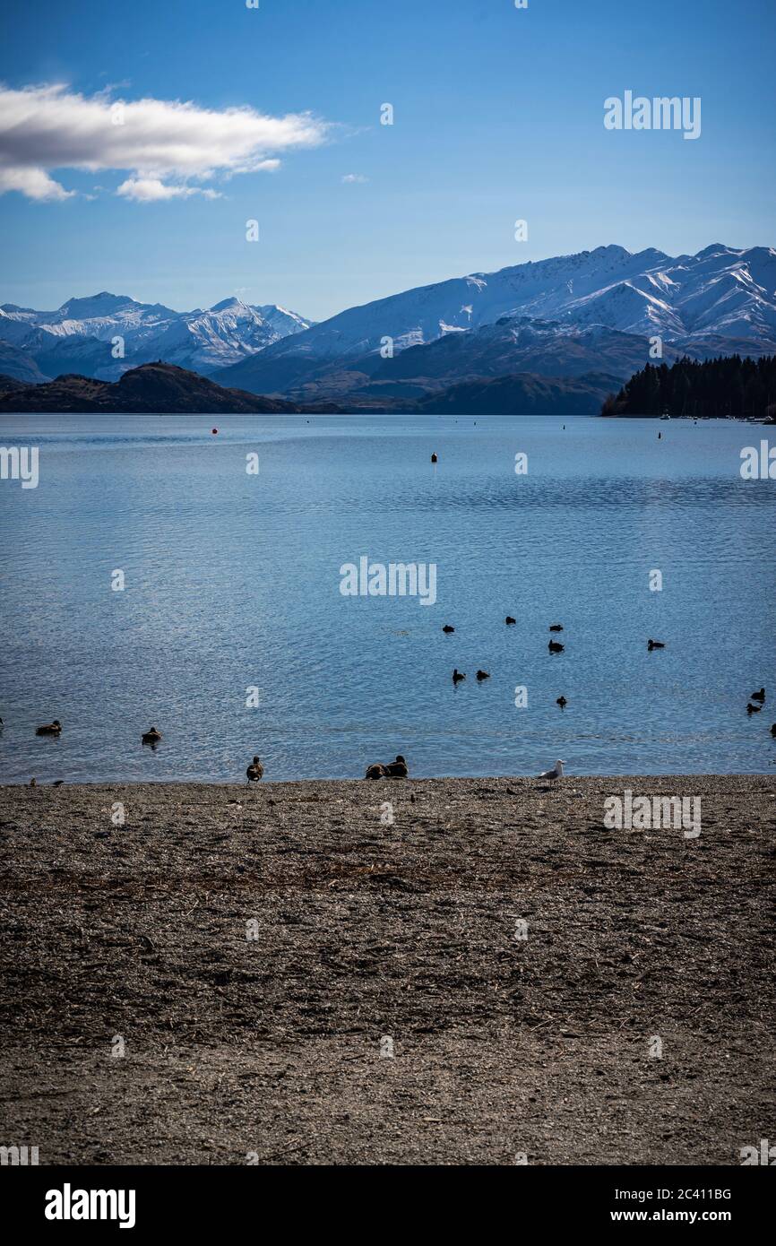 Scenic view of Lake Wanaka, South Island, New Zealand Stock Photo - Alamy
