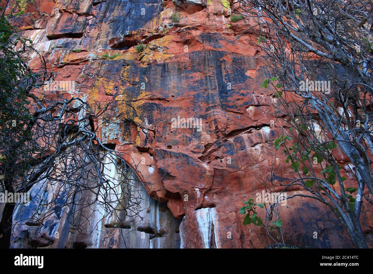 Namibia Cliffs Viewed from the foot of the Waterberg plateau in Namibia, the red ...