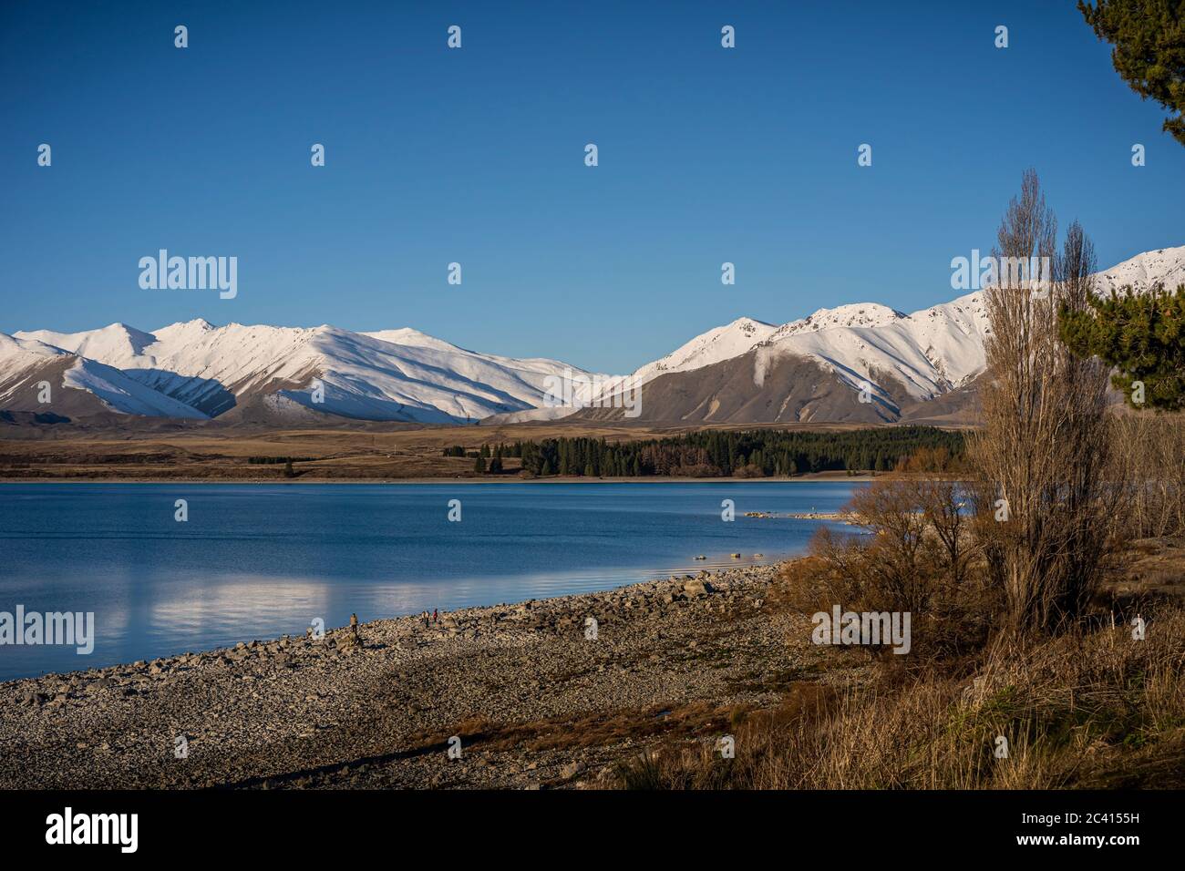 Scenic view of Lake Tekapo, South Island, New Zealand Stock Photo - Alamy