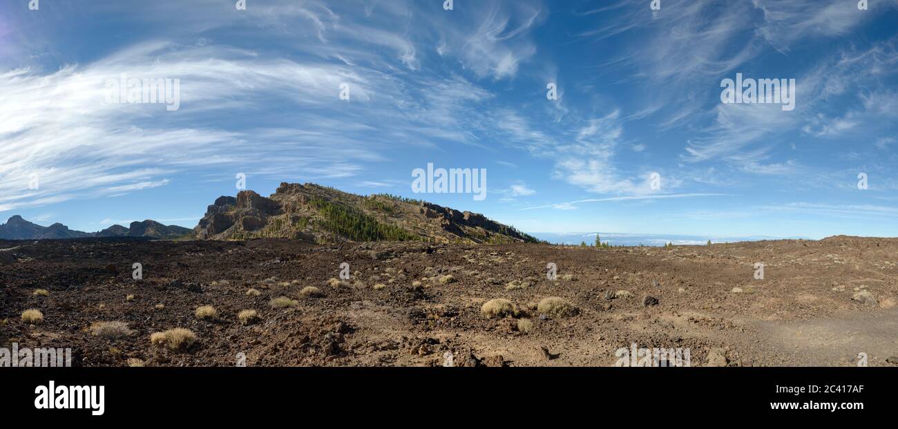 Chio Tenerife High Resolution Stock Photography And Images Alamy