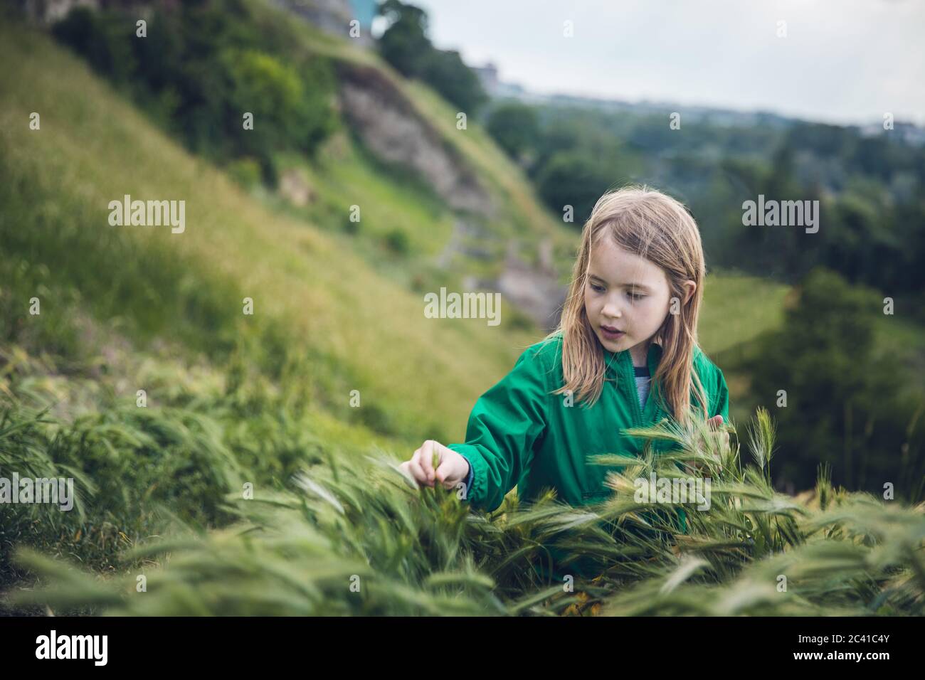 Touching the grass Stock Photo - Alamy