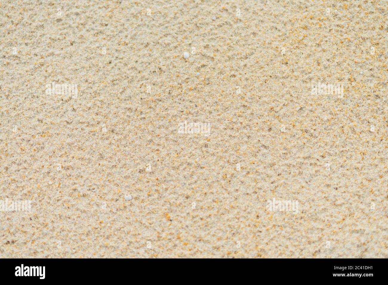 close up sand beach groud floor background for texture Stock Photo - Alamy
