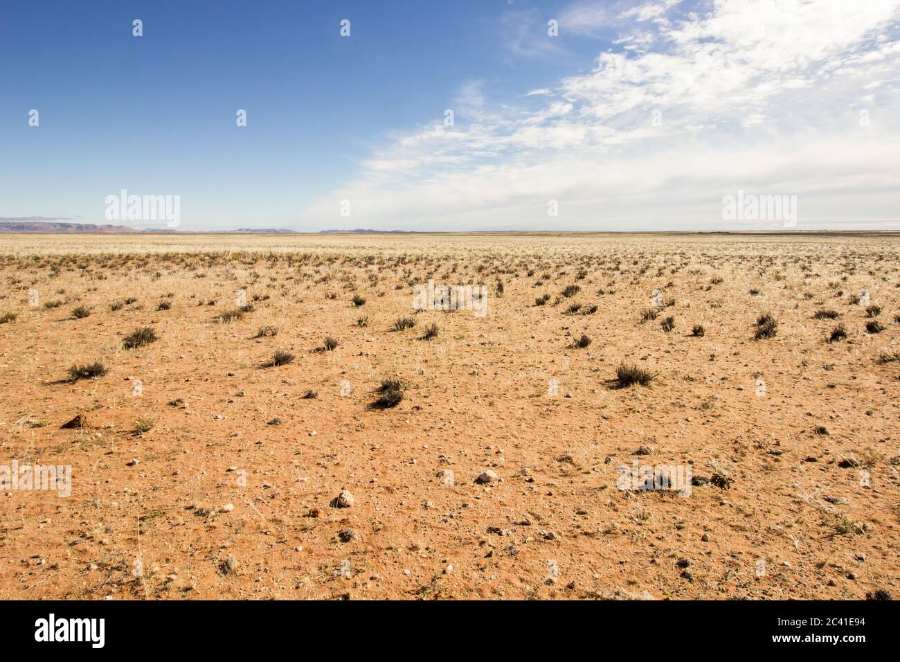 The Xeric Scrubland of the Nama Karoo (Bushman Land), South Africa, during a drought Stock Photo