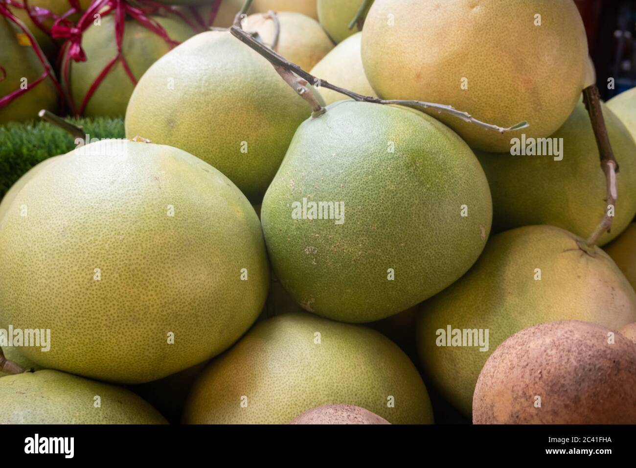 The pomelo, pummelo, or in scientific terms Citrus maxima or Citrus