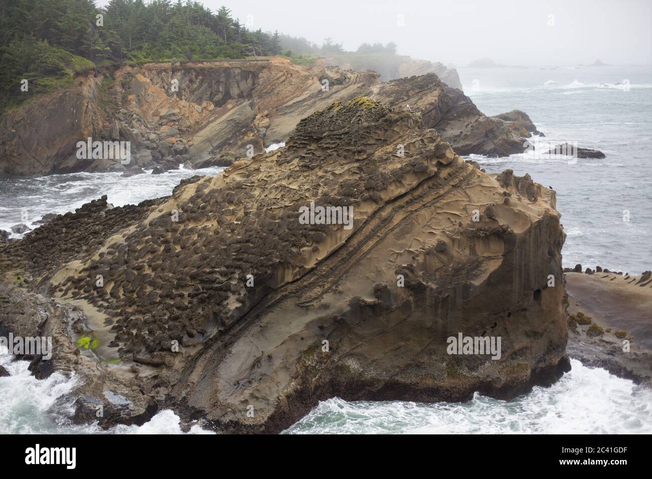 Rugged rocky coastline at Shore Acres State Park in Coos Bay, Oregon, USA. Stock Photo
