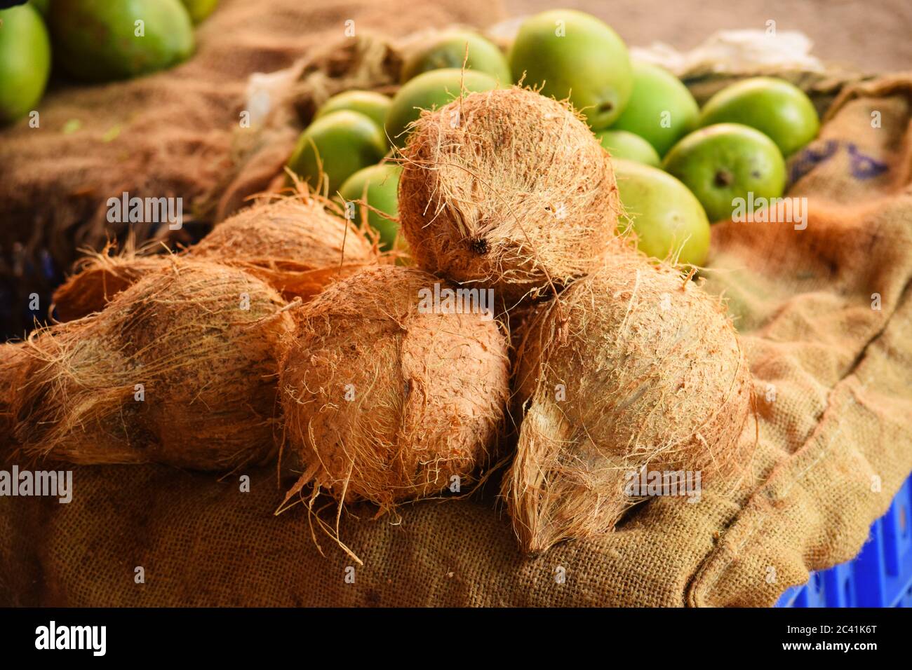 pile of coconuts in the market, coconuts ready for sales Stock Photo
