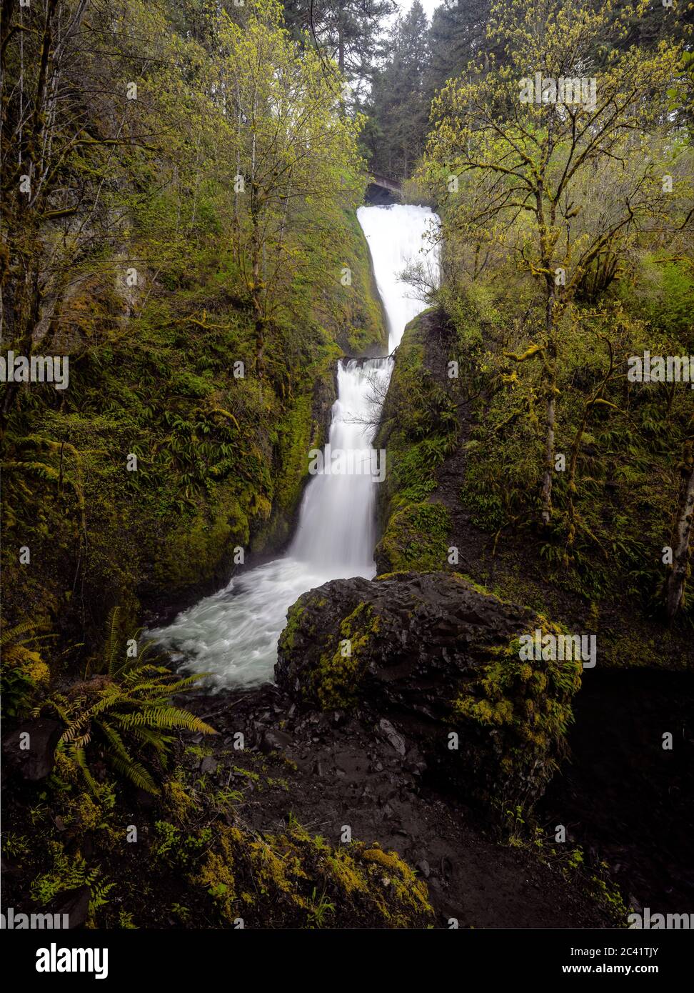 OR02563-00...WASHINGTON - Bridal Viel  Falls in the Columbia River George National Scenic Area. Stock Photo