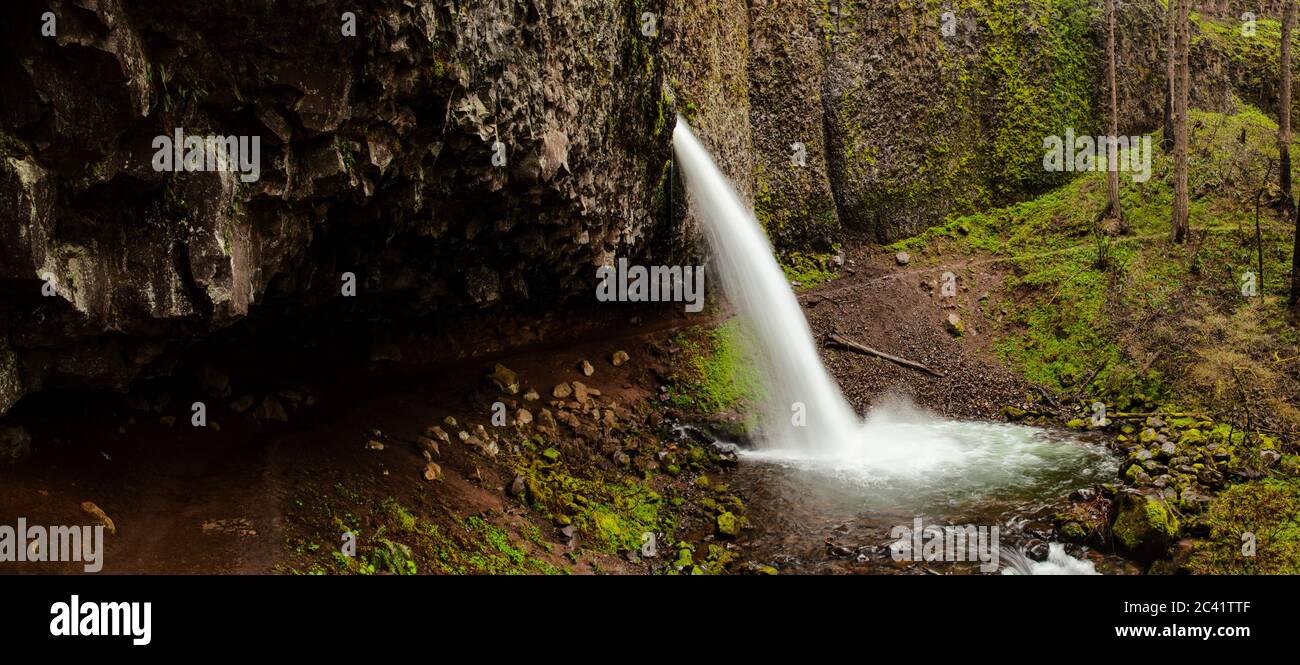 OR02565-00...OREGON - Pony Tail Falls in the Columbia River George National Scenic Area. Stock Photo