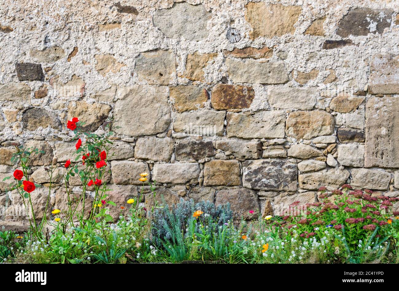Background historic stone wall of a castle with flower garden Stock Photo