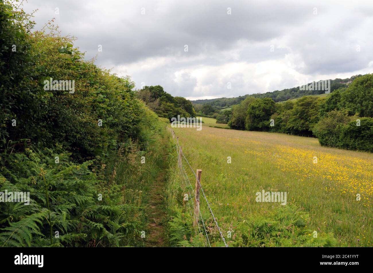 Typical scenery near Burwash in the High Weald of East Sussex. The area has many public footpaths making it excellent walking and hiking country. Stock Photo