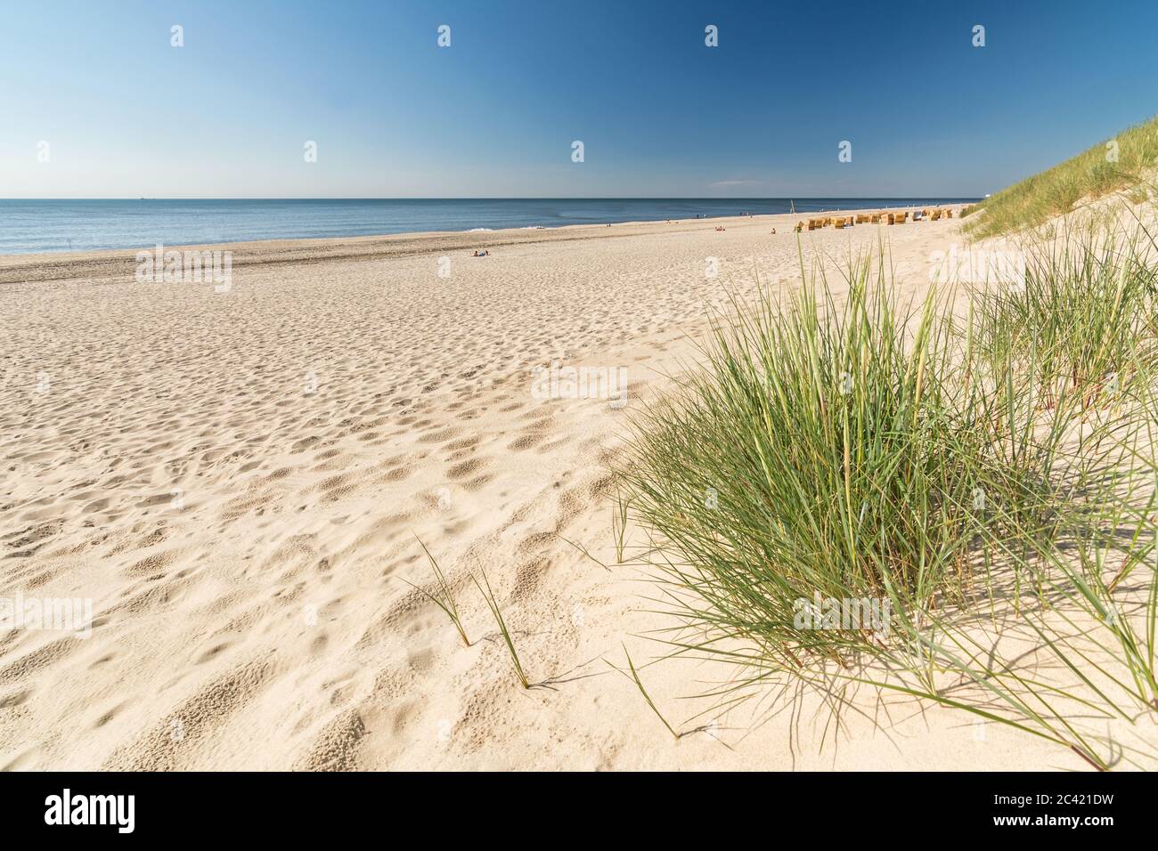 Beach grass and sand on the island of Sylt, Germany Stock Photo