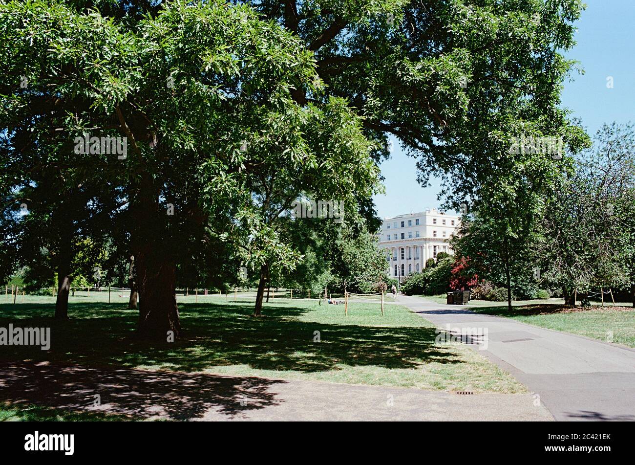Regent's Park in summertime, in the London Borough of Westminster, London, Great Britain Stock Photo