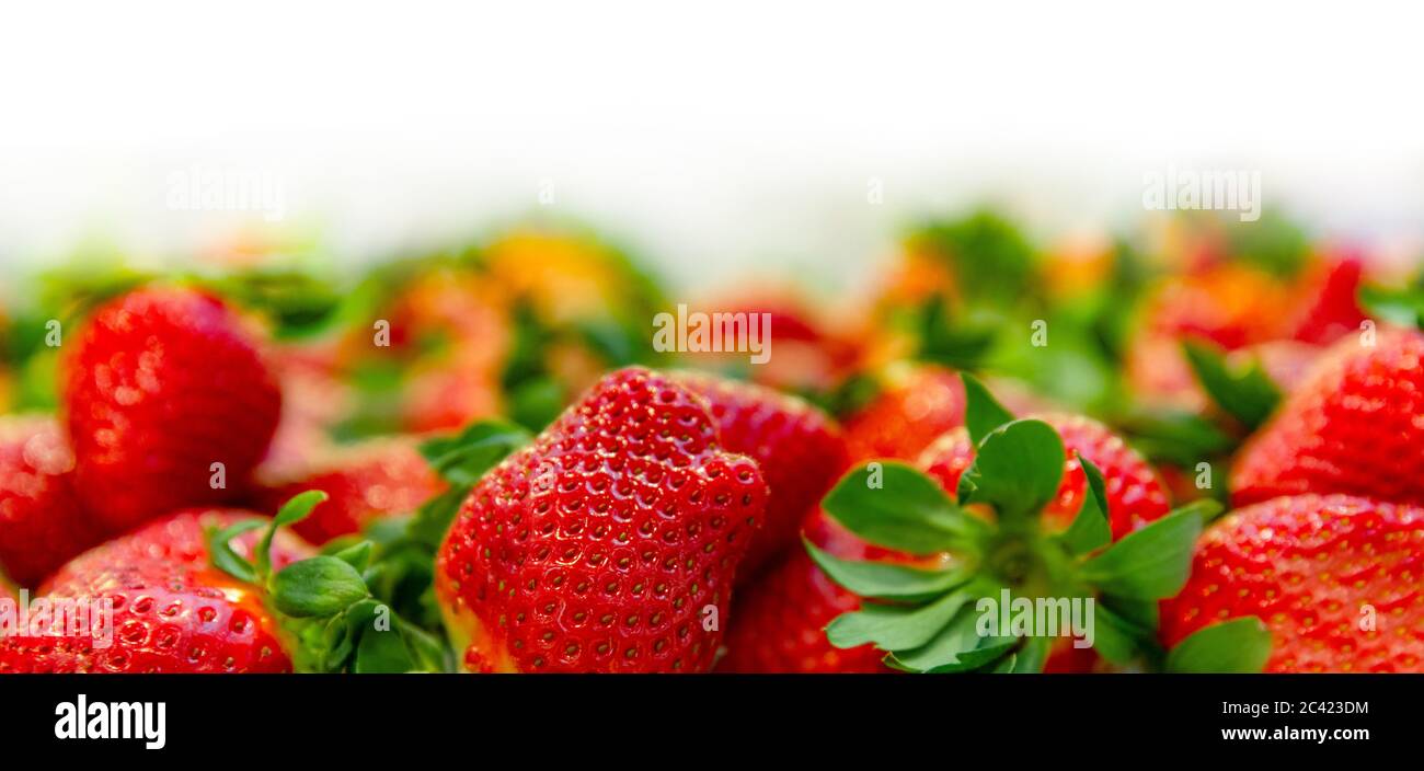 fresh red strawberry isolated on white background Stock Photo - Alamy