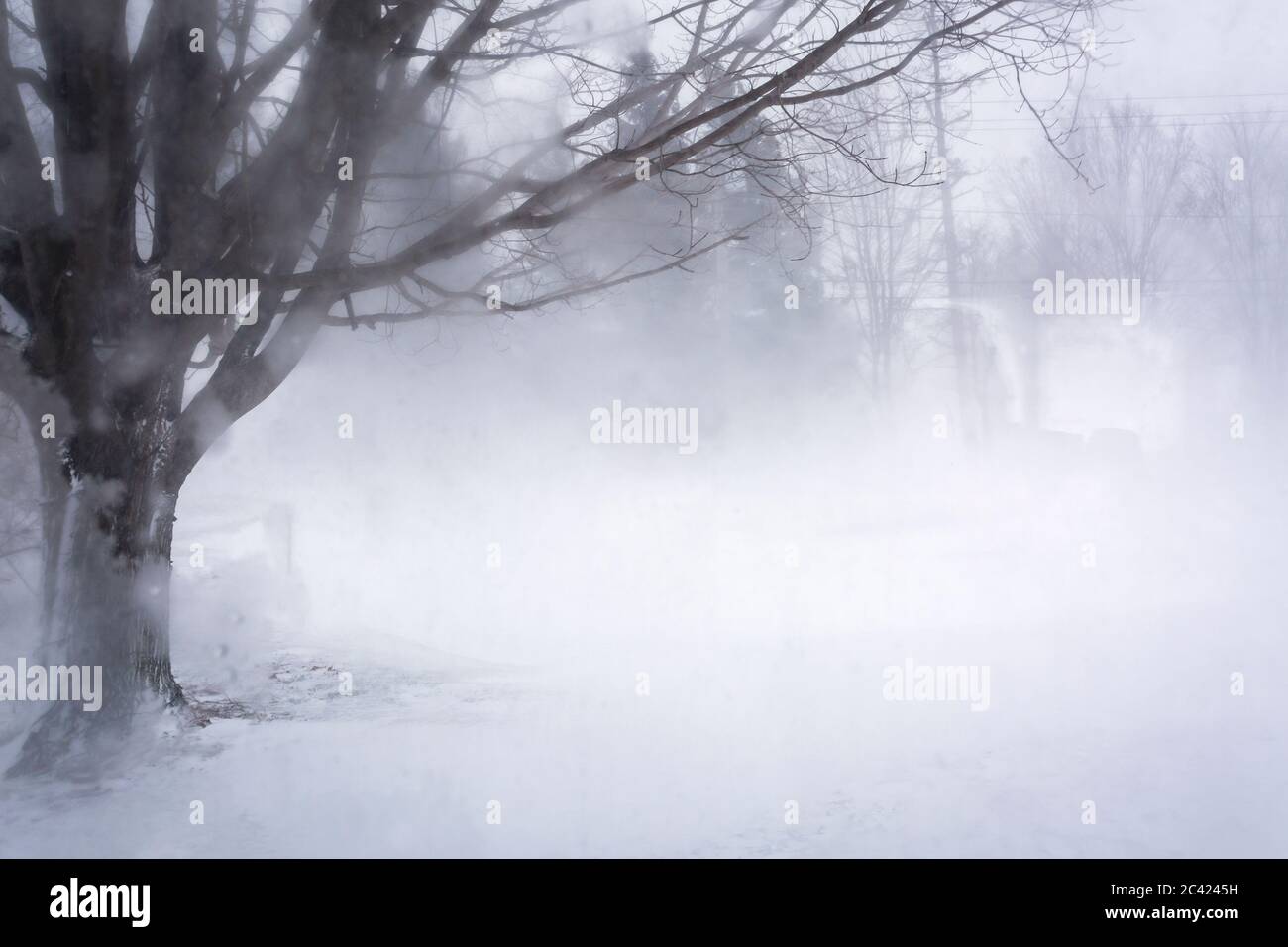 blowing snow and strong winds, Meaford; Ontario; Canada Stock Photo