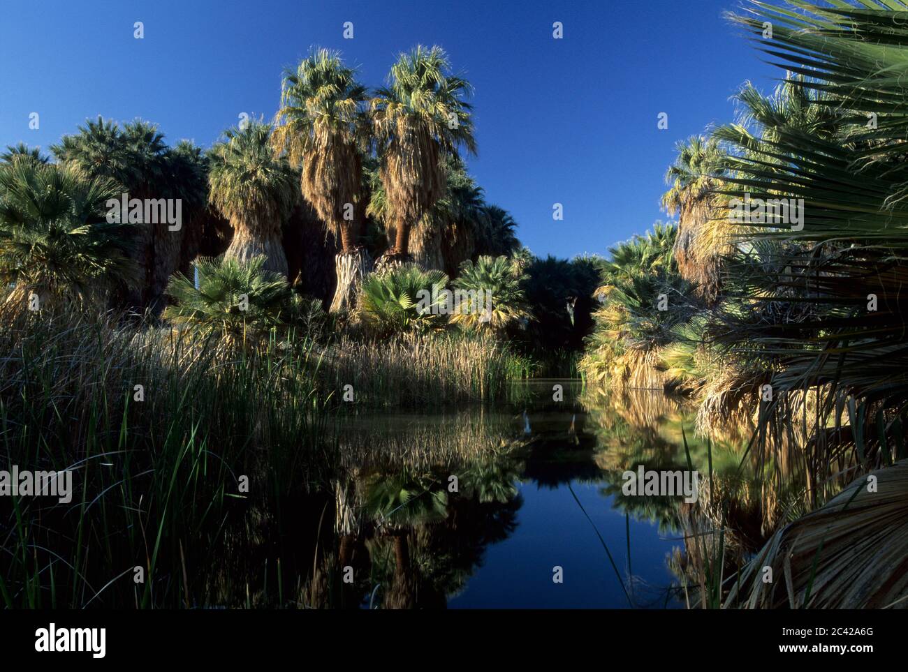 Coachella valley preserve fault hires stock photography and images Alamy