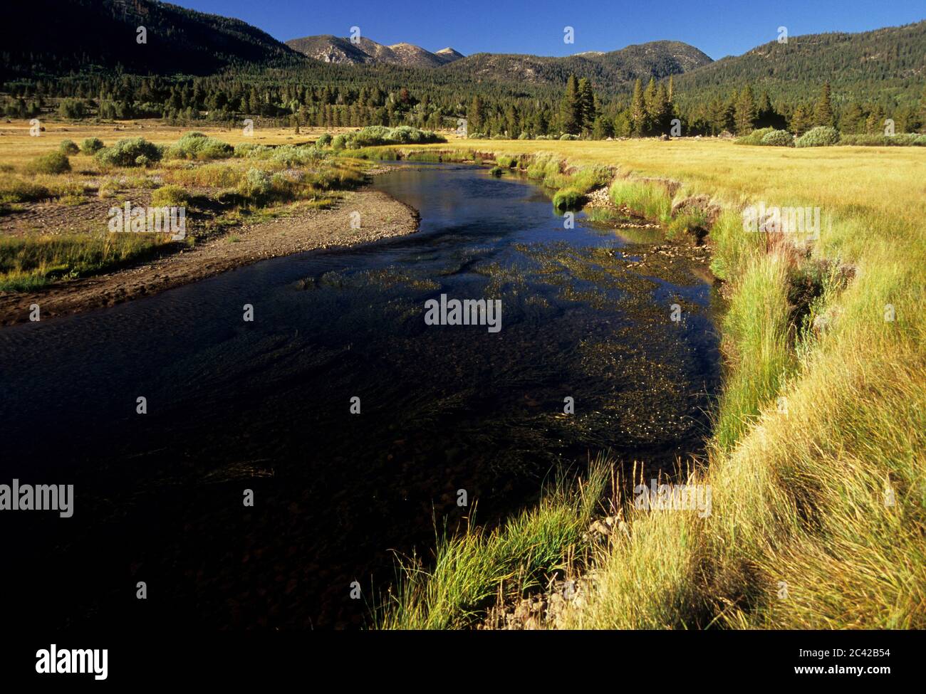 West Fork Carson River, Hope Valley Wildlife Area, Carson Pass National
