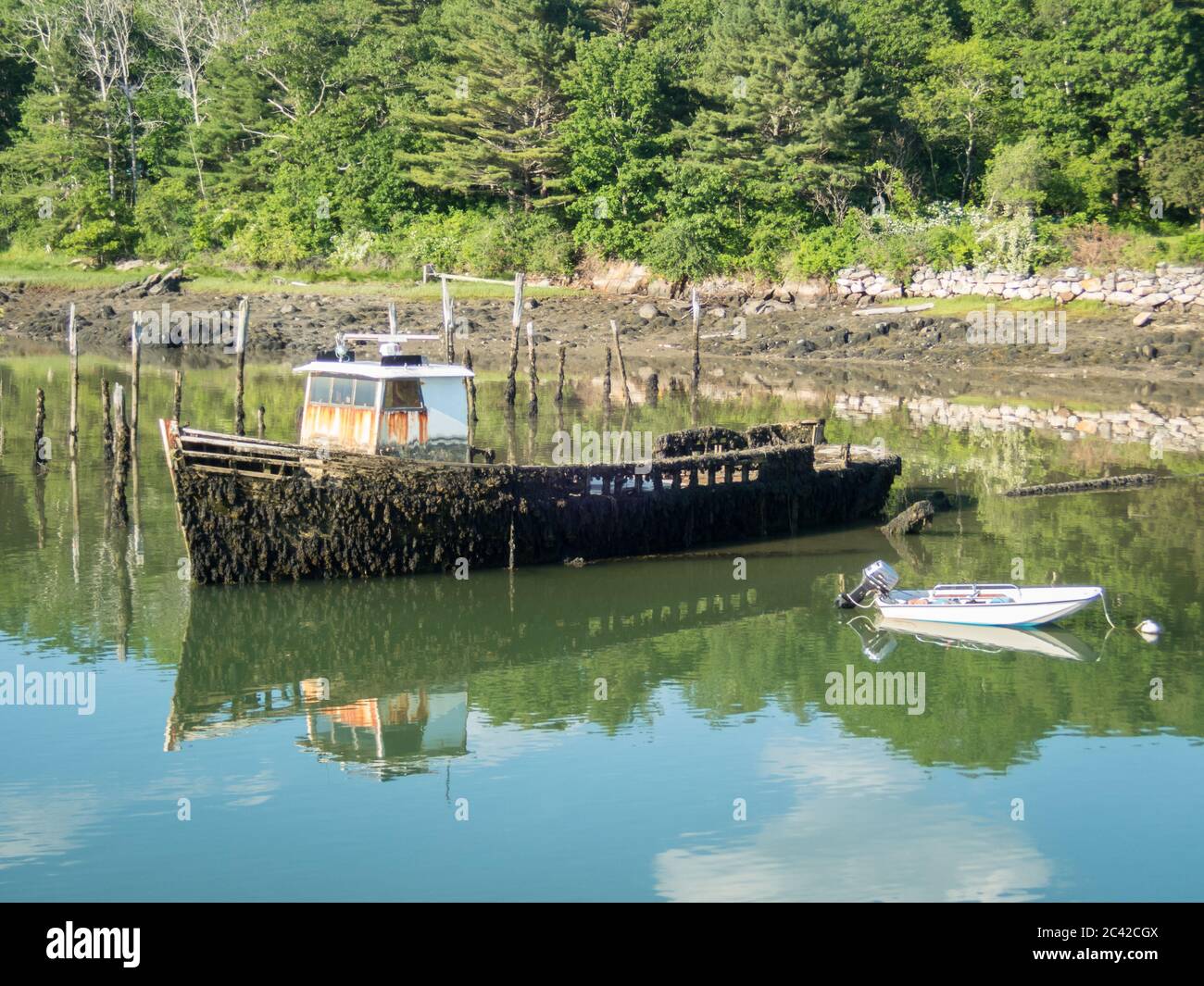 Old sunken lobster boat covered in moss at low tide Boothbay Harbor